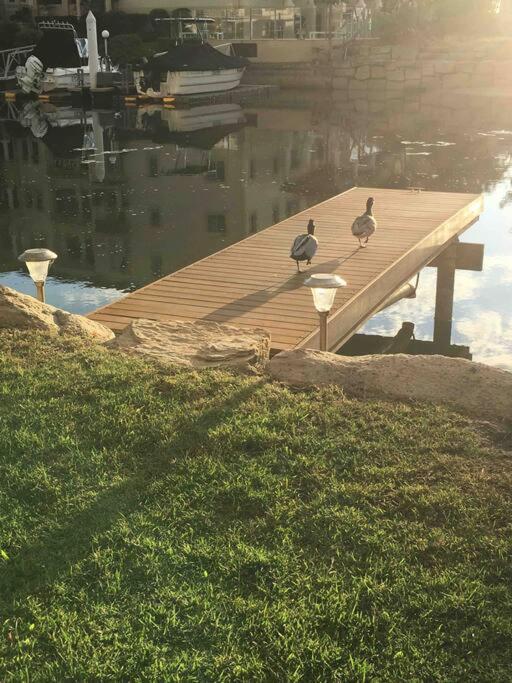 Broadwater Canal Frontage-Runaway Bay-Boat Ramp Guldkusten Exteriör bild